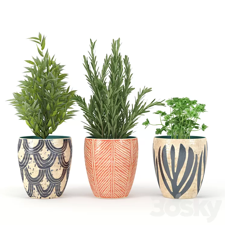 Kitchen_Plant 3D Model Kitchen_Plant 3D Model