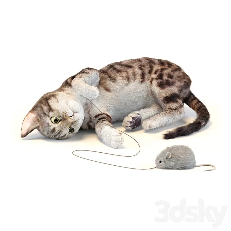 Kitten in two color options 3D Model