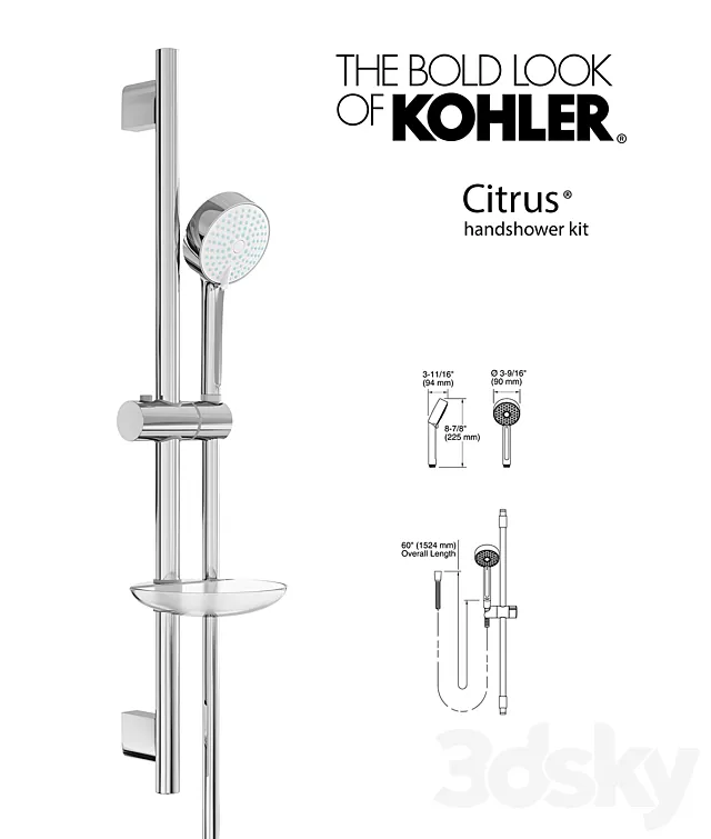 Kohler Citrus® handshower kit 3D Model