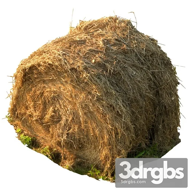 Kruglyi Tiuk Sena 3D Model Download Kruglyi Tiuk Sena 3D Model Download