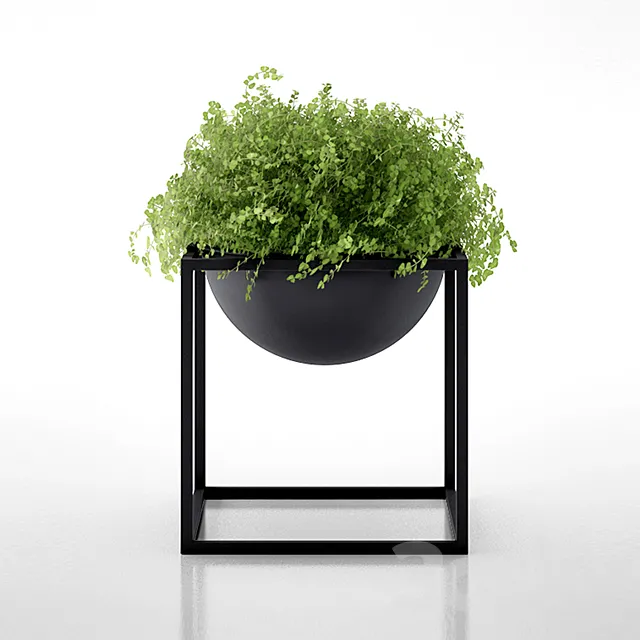 Kubus Black Bowl with clover by Lassen 3DModel Kubus Black Bowl with clover by Lassen 3DModel