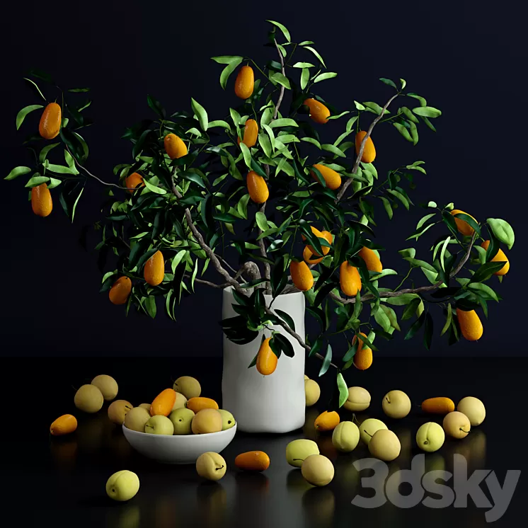Kumquat and plums 3D Model Kumquat and plums 3D Model