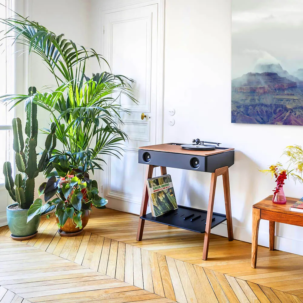 La Boite Concept – Speaker LX Turntable WALNUT 3D Model