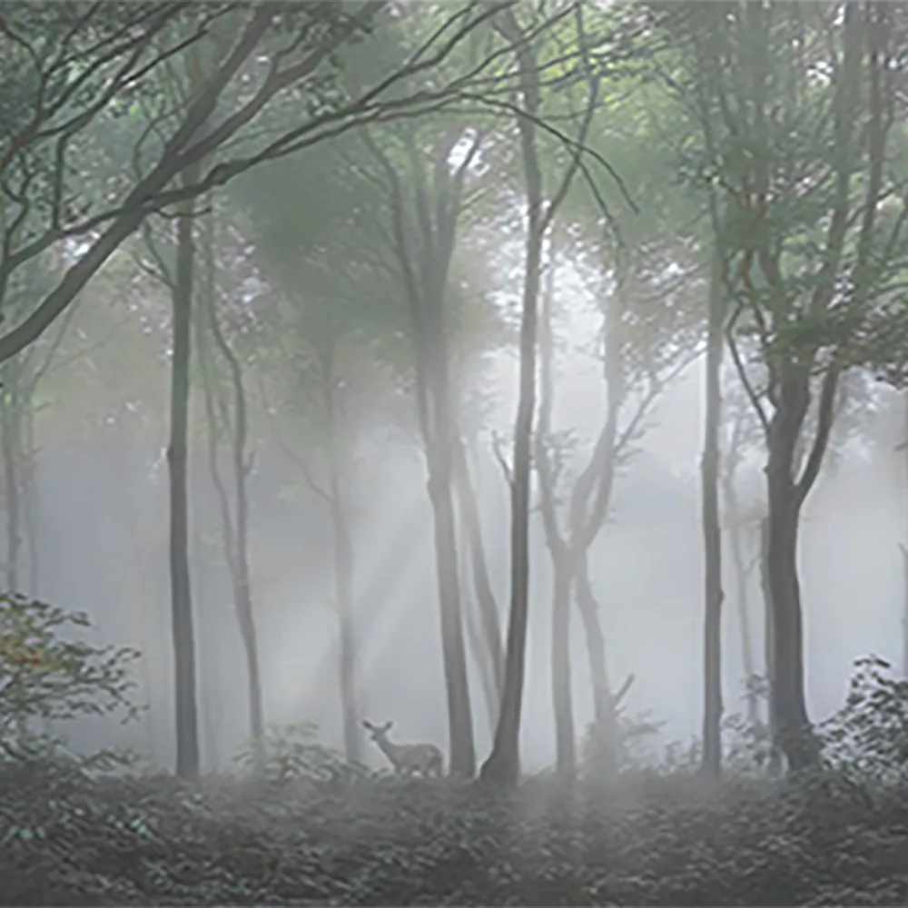 La Stanza – Natura 800170 3D Model La Stanza – Natura 800170 3D Model