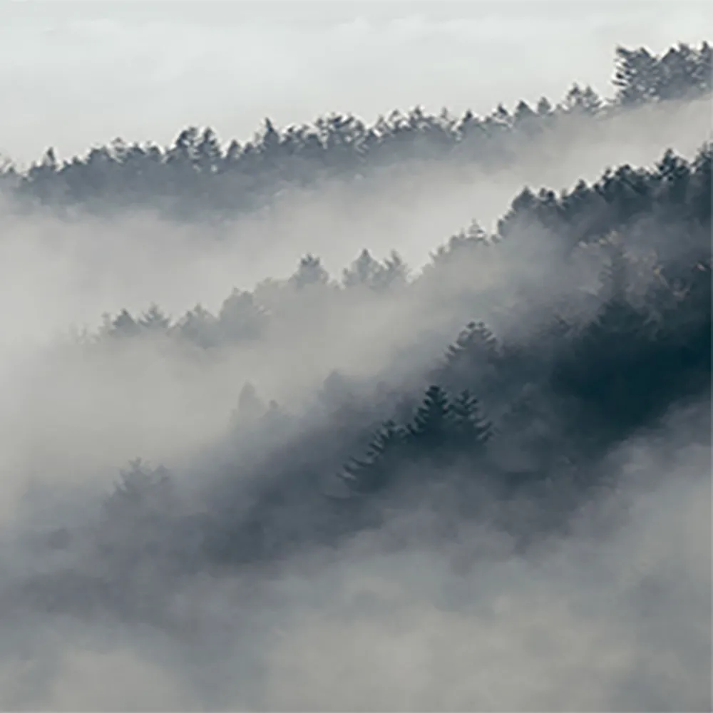 La Stanza – Natura 800180 3D Model La Stanza – Natura 800180 3D Model