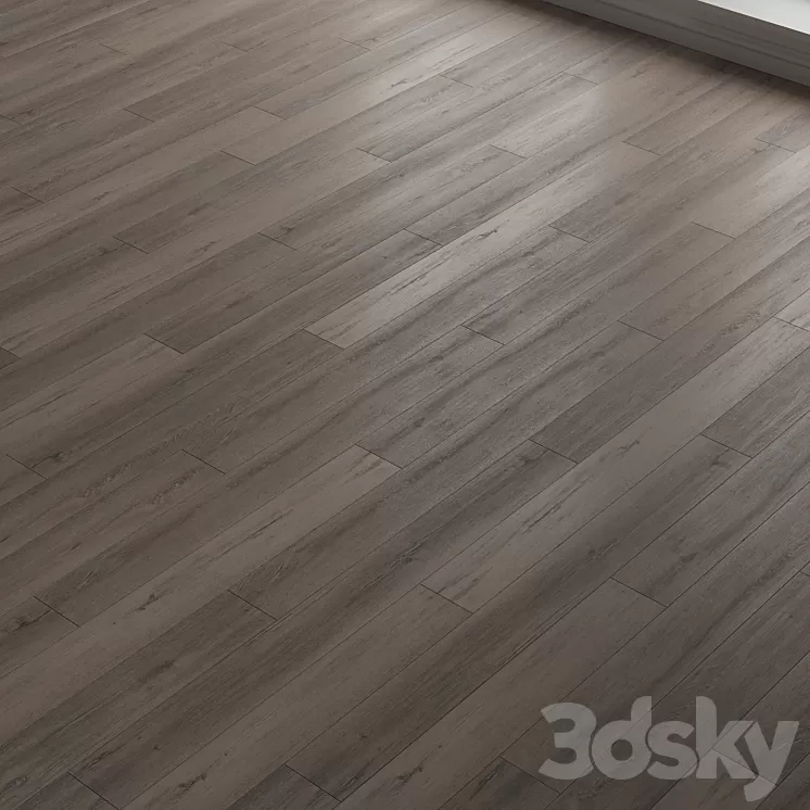 Laminate. Parquet. 22 3D Model