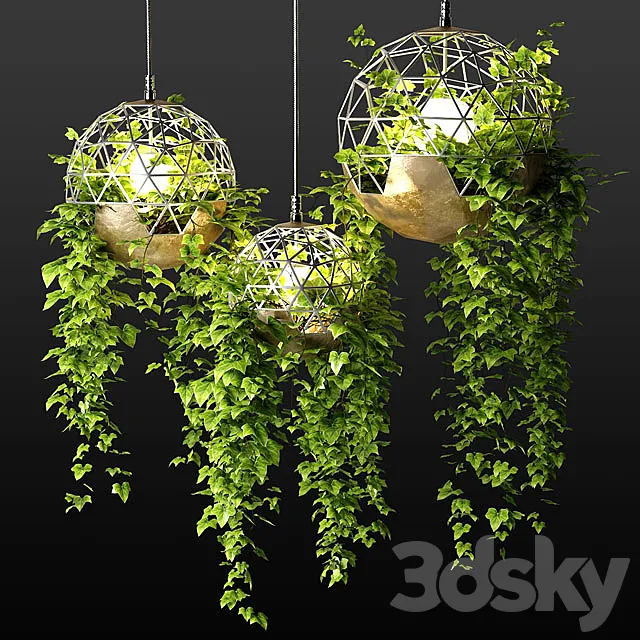Lamps with hanging plants | The Lighters with a hanging plants 3DModel