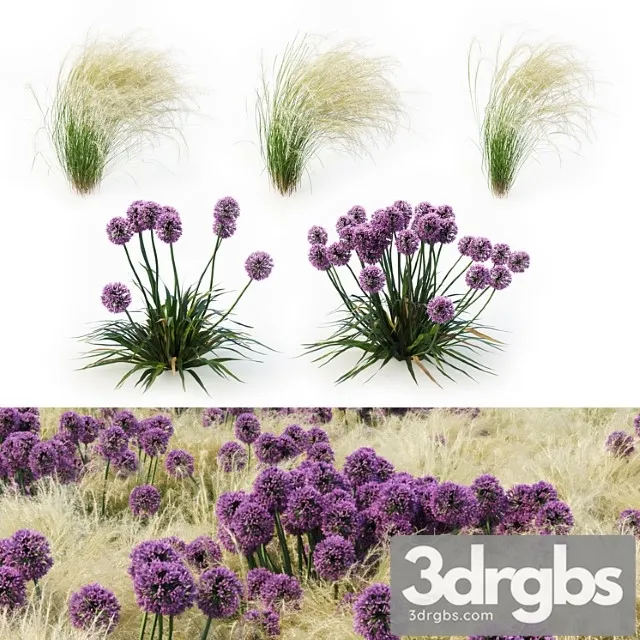 Landscape set vol 1 Landscape set vol 1