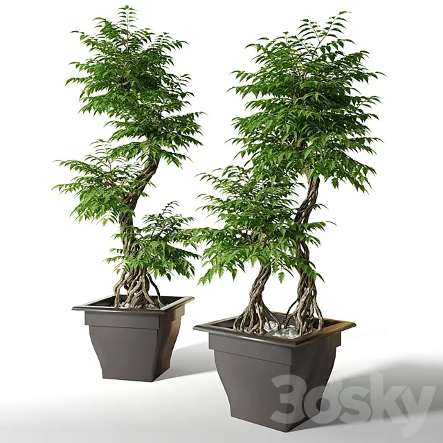 Large artificial tree Fruticosa 3DModel
