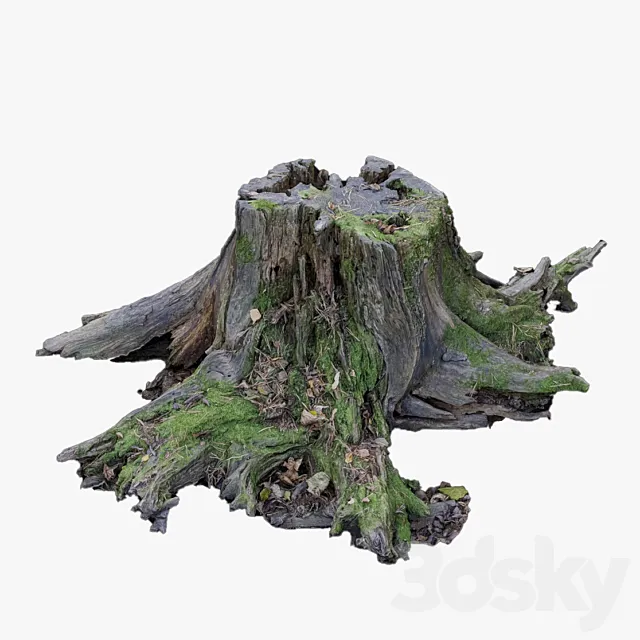 Large tree stump 3D Model Large tree stump 3D Model