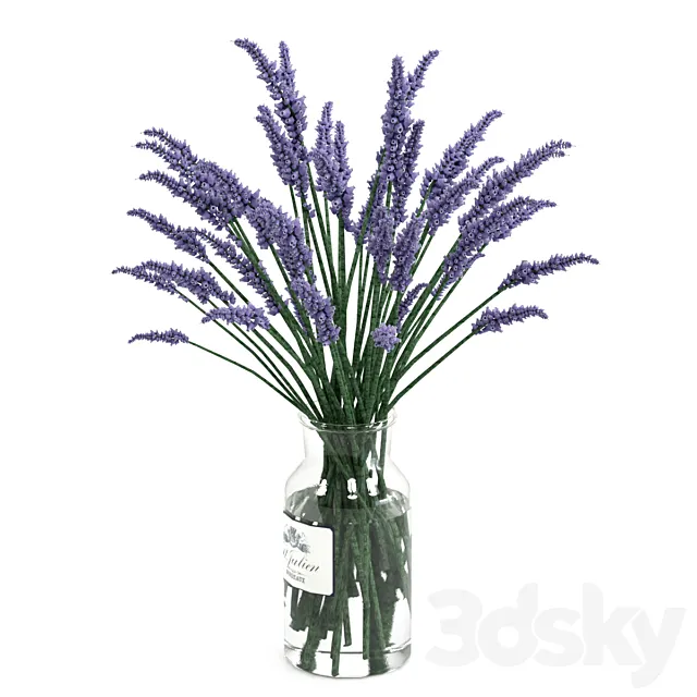 Lavender bouquet 3D Model