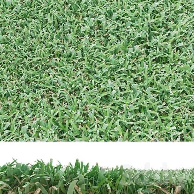 lawn 3D Model lawn 3D Model