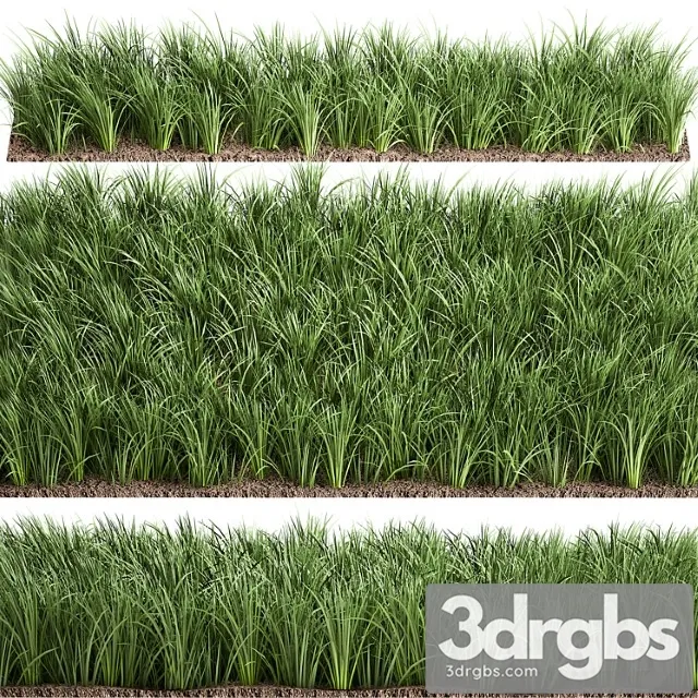 Lawn 941 Grass Bushes Landscaping 3D Model Download Lawn 941 Grass Bushes Landscaping 3D Model Download