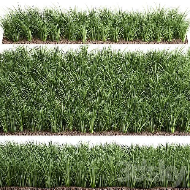 Lawn 941. grass bushes landscaping 3D Model Lawn 941. grass bushes landscaping 3D Model