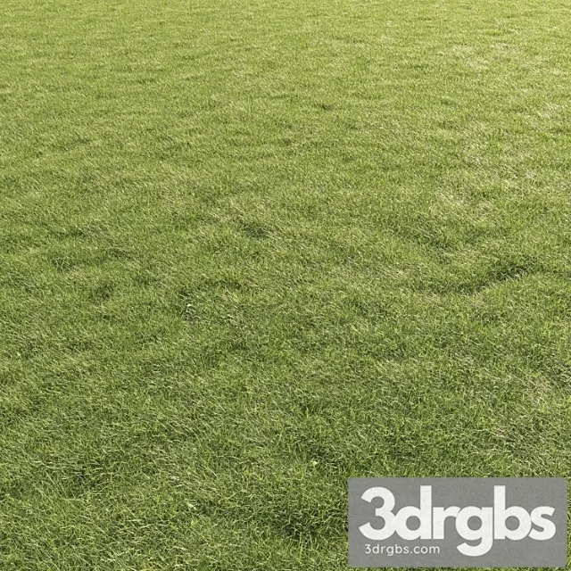 Lawn grass 01 Lawn grass 01