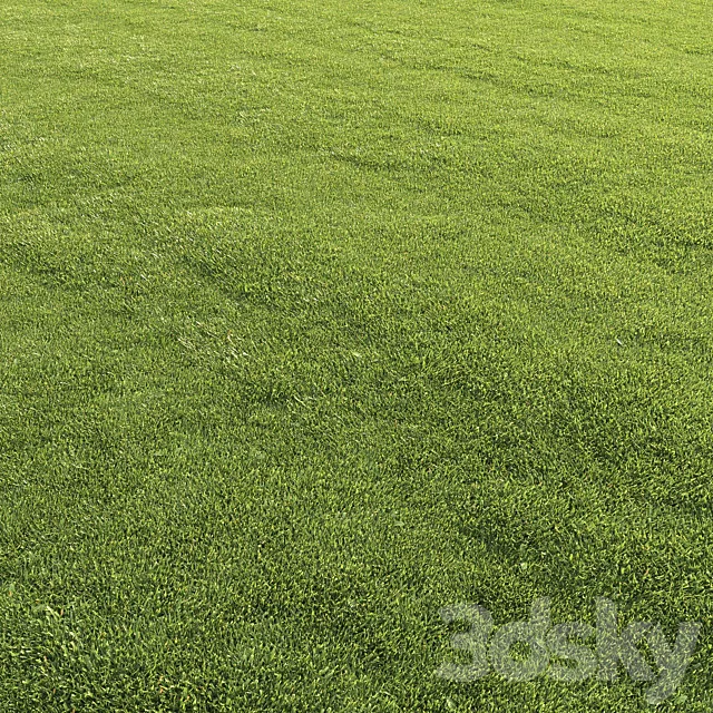 Lawn grass 3D Model Lawn grass 3D Model