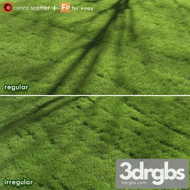 Lawn grass Lawn grass