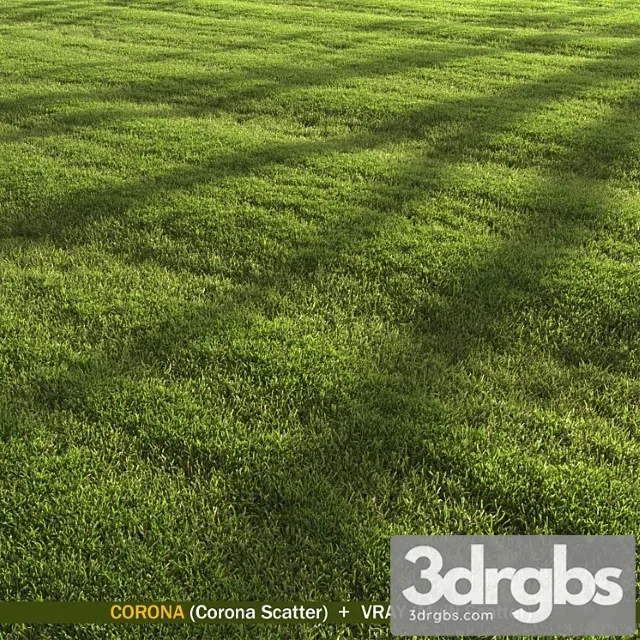 Lawn landscape Lawn landscape