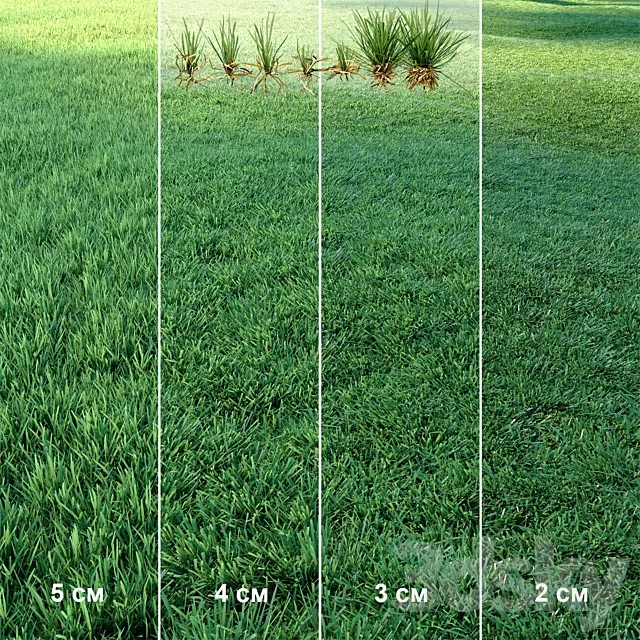 Lawn | Mowed Lawn 3D Model Lawn | Mowed Lawn 3D Model