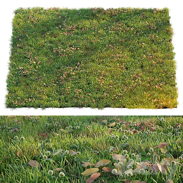 Lawn with clover and dry leaves 3D Model Lawn with clover and dry leaves 3D Model