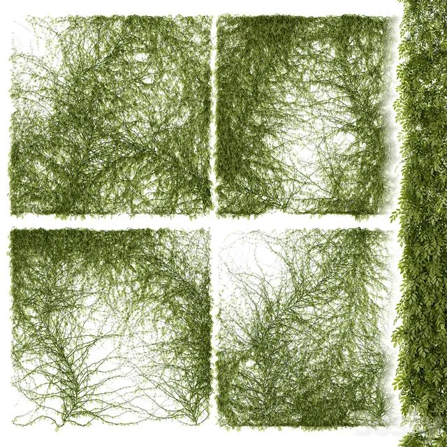 Leaves for walls 3D Model Leaves for walls 3D Model