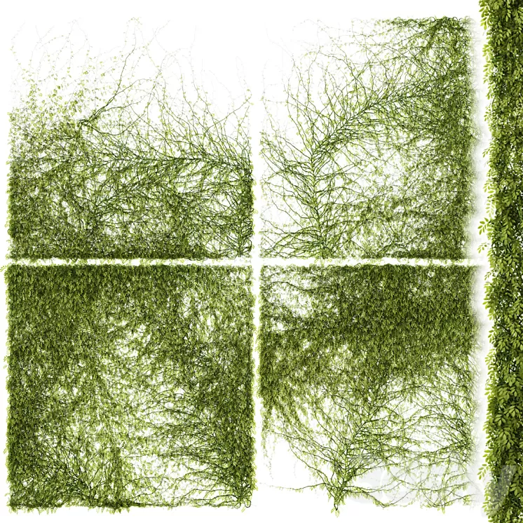 Leaves for walls v3 3D Model