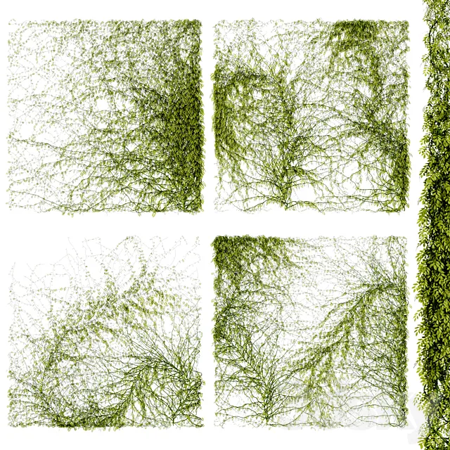 Leaves for walls v4 3D Model Leaves for walls v4 3D Model