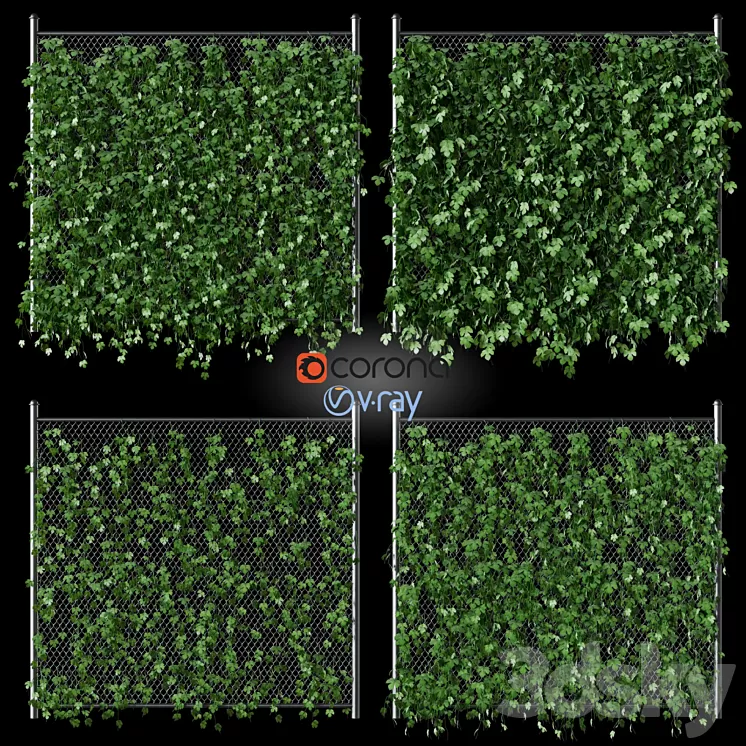 Leaves of hops on the fence net 3D Model Leaves of hops on the fence net 3D Model