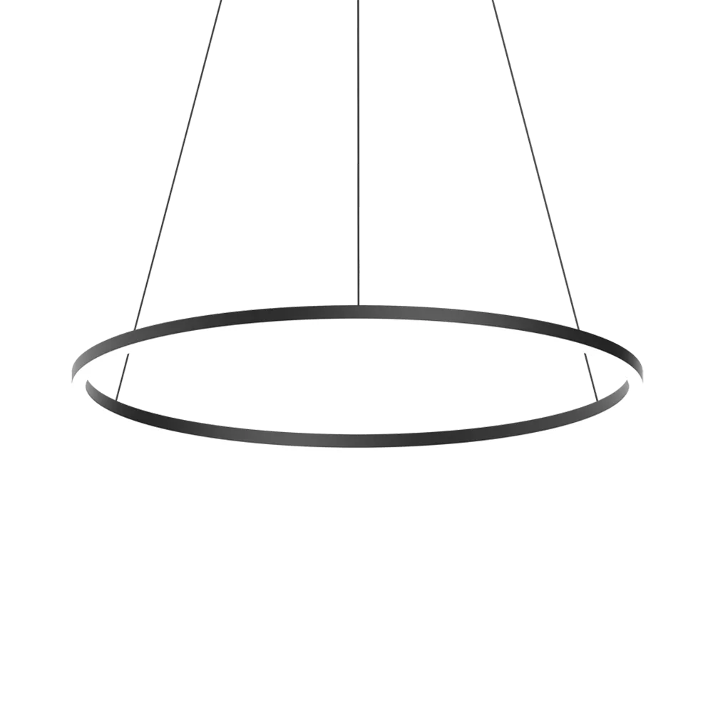 Ledmonster – Pendant lamp Ringus 3D Model