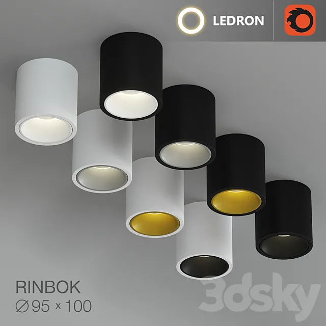 Ledron Rinbok 3D Model