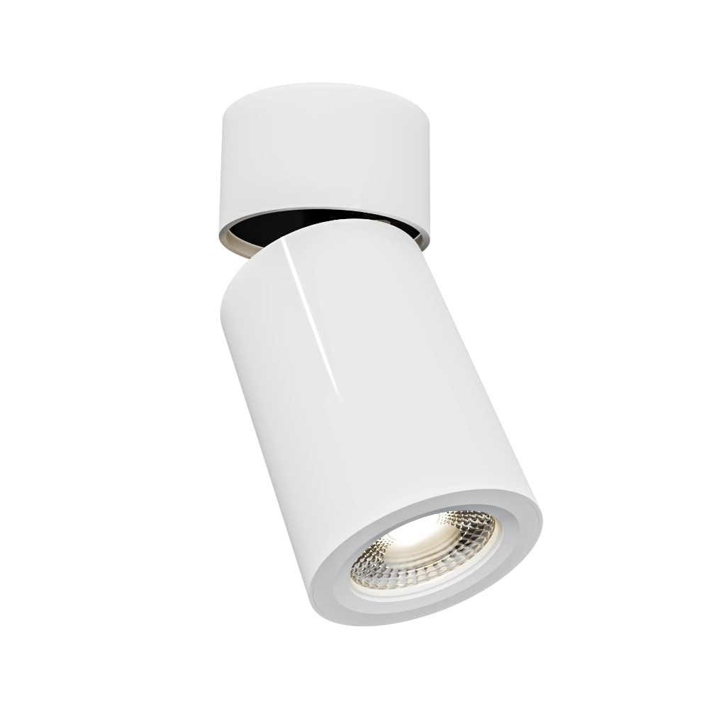 LeDron – Spot lamp – AO1705001 white 3D Model