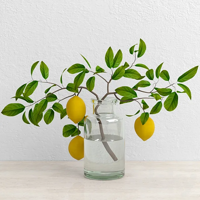 Lemons on branch 3DModel Lemons on branch 3DModel