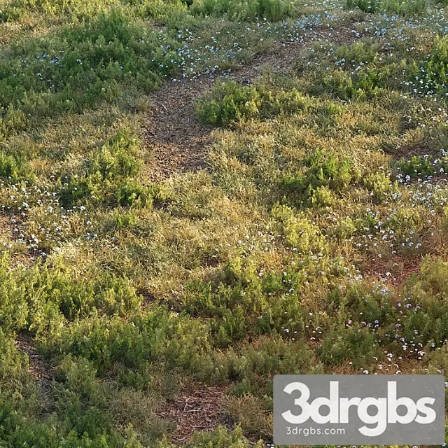 Lesnaia Trava 3D Model Download