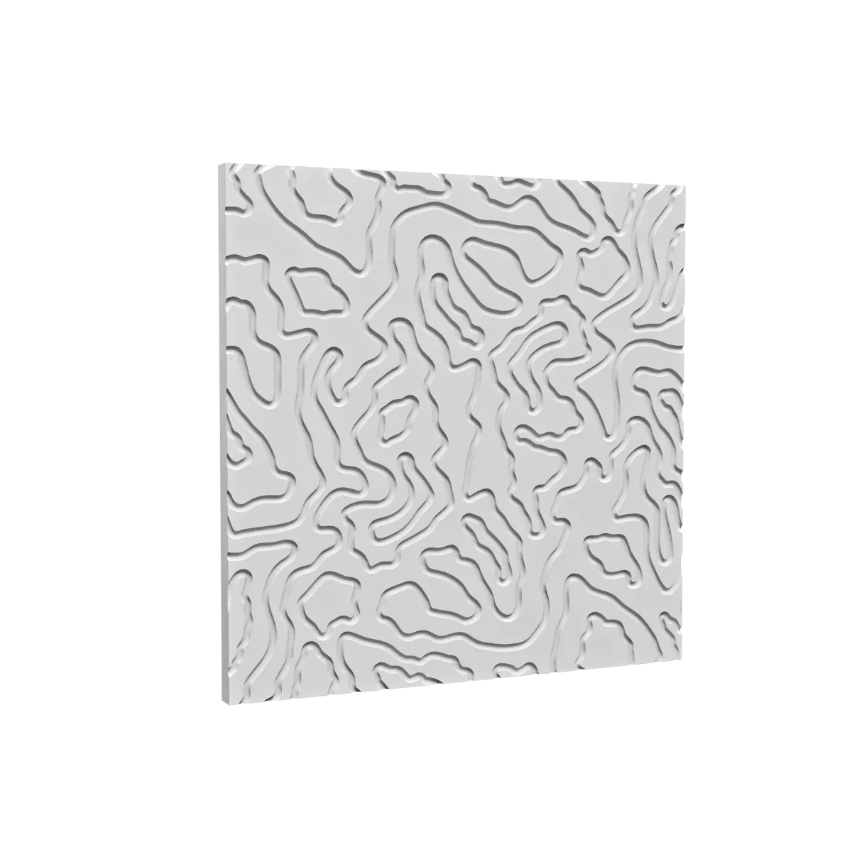 LETO – Corteccia 3D Model