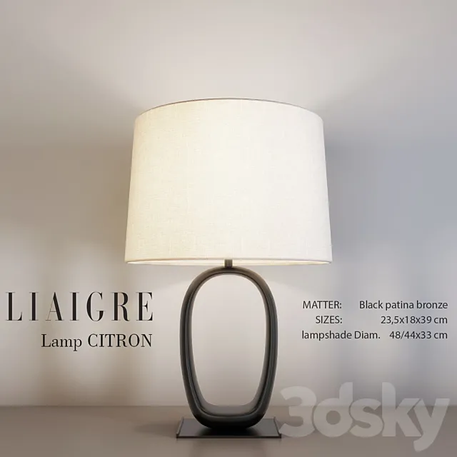 Liaigre CITRON Table Lamp 3DModel Liaigre CITRON Table Lamp 3DModel