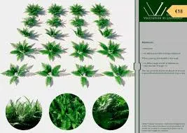 Library of Vegetation by Lisyanskiy Vol.01