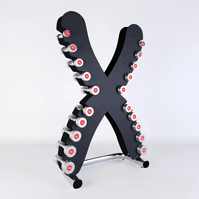 Life Fitness Set of chrome dumbbells with the X-shaped stand 3DModel
