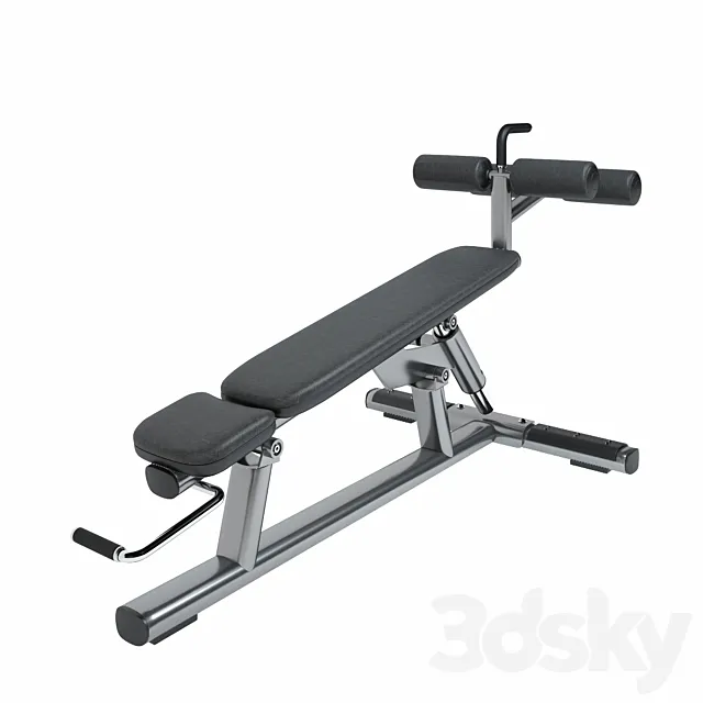 Life Fitness Signature Series Adjustable Abdominal Bench 3D Model