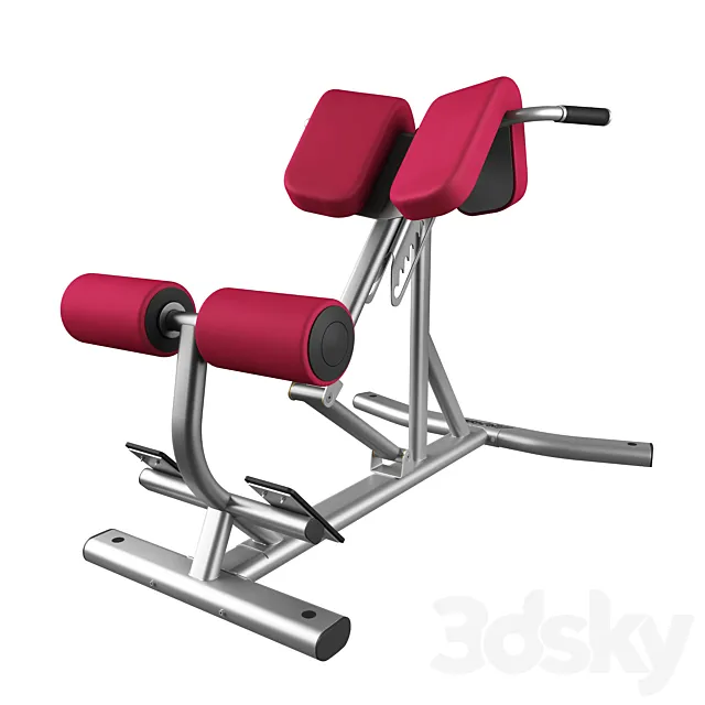 Lifefitness Signature Series Back Extension 3D Model