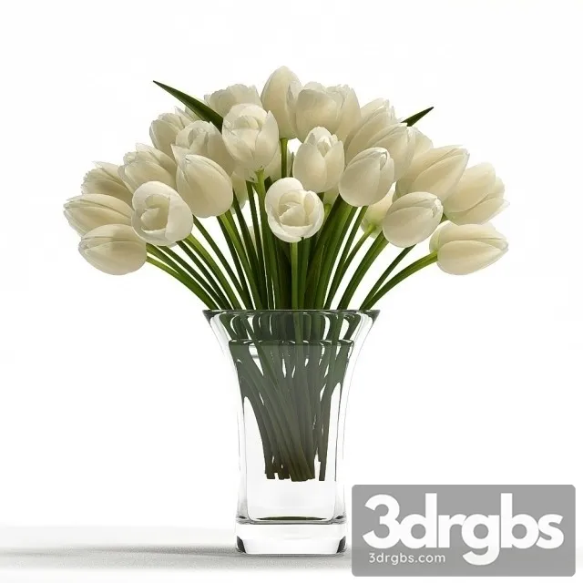 Light Tulips 3D Model Download