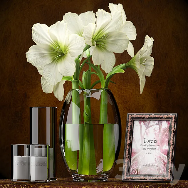 LIGHT YELLOW AMARYLLIS 3DModel