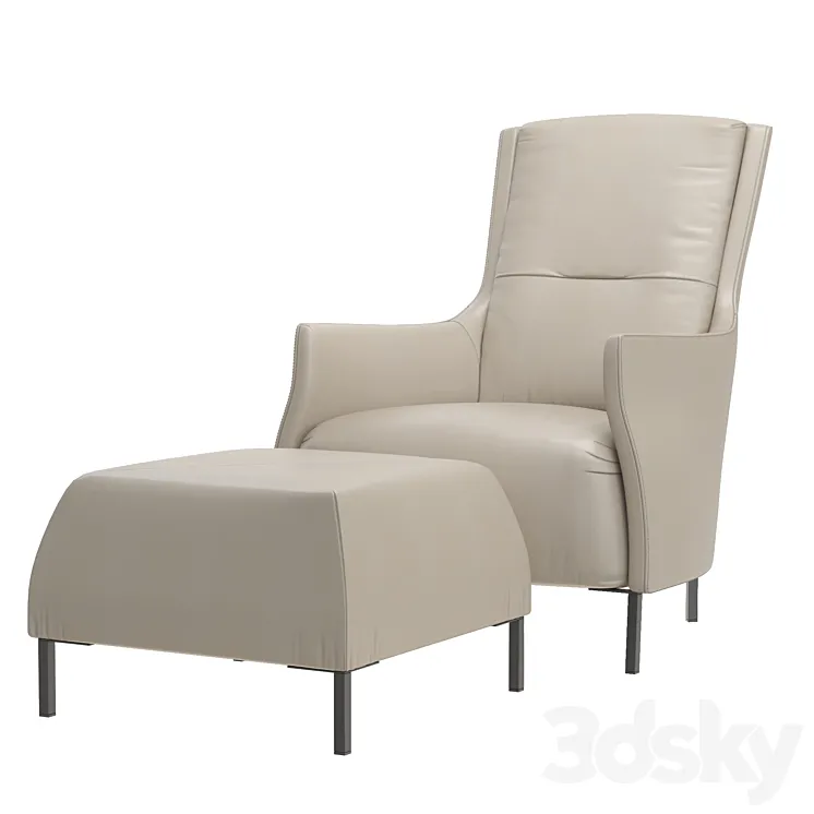 Ligne roset Riga Armchair High Back 3D Model Free Download
