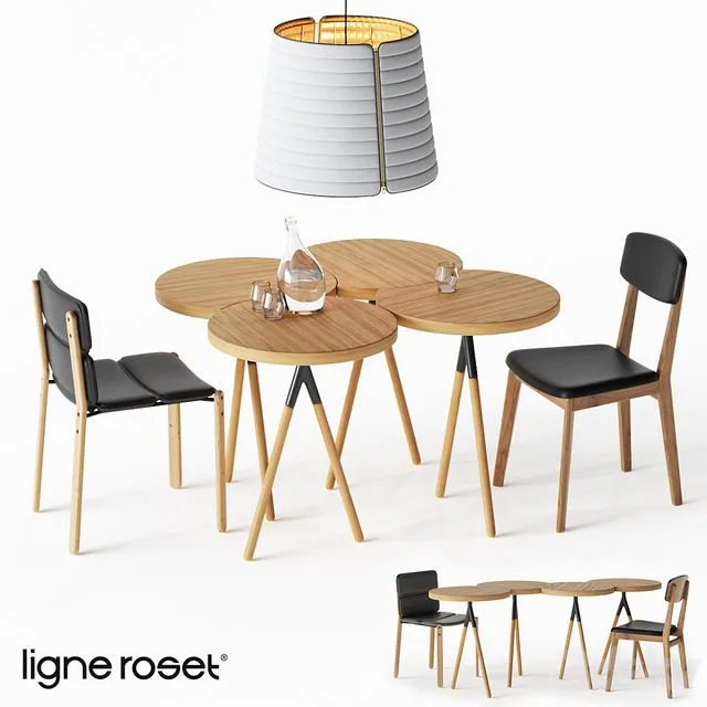 Ligne Roset Set 3D Model