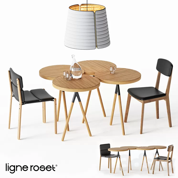 Ligne Roset Set 3D Model