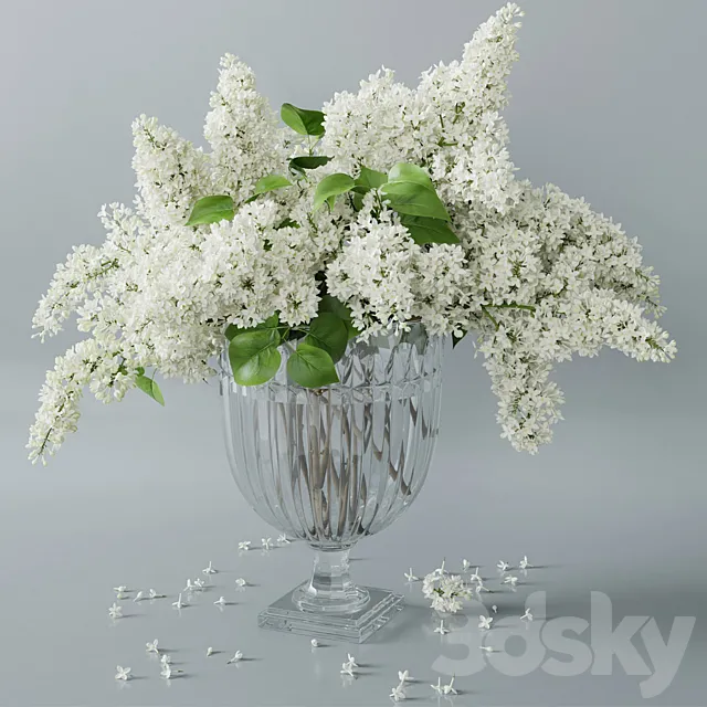 lilac 2 3DModel lilac 2 3DModel