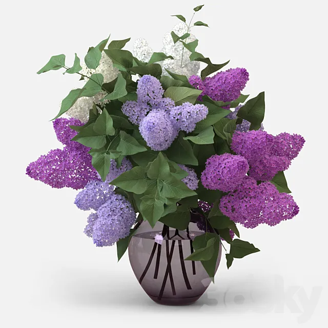 Lilac Bouquet 3DModel Lilac Bouquet 3DModel
