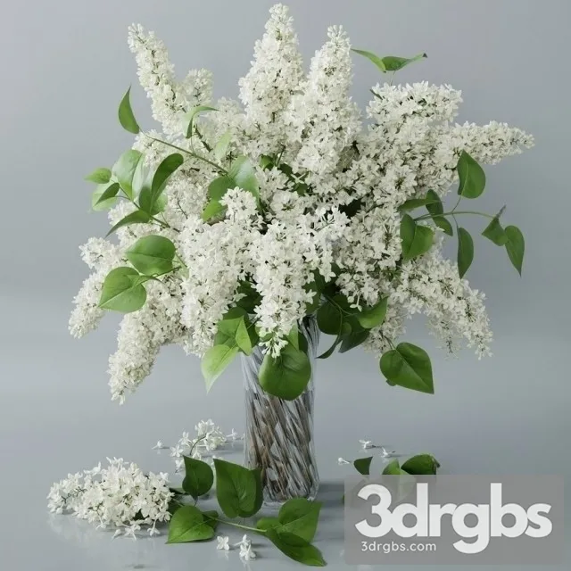 Lilac Vaset Bouquet 1 3D Model Download