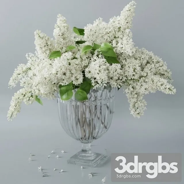Lilac Vaset Bouquet 2 3D Model Download