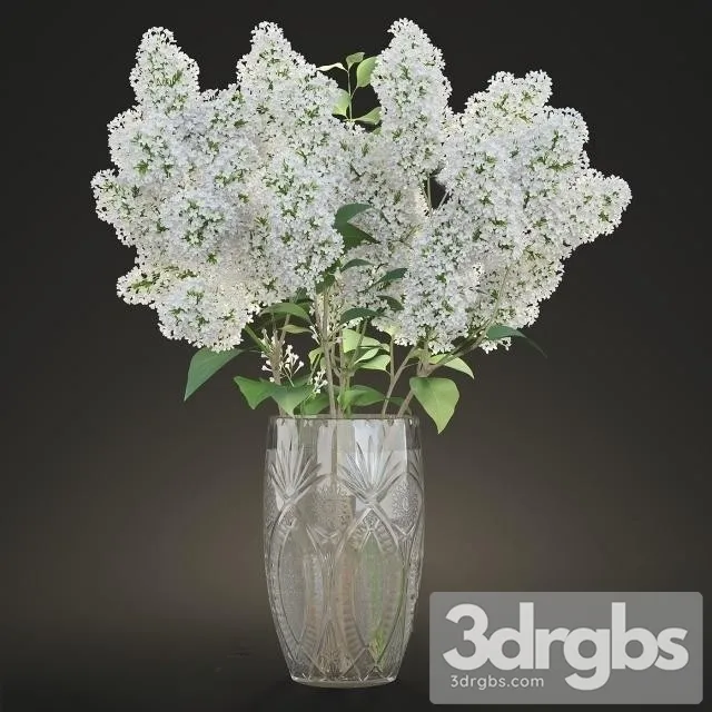 Lilac White Bouquet 3D Model Download