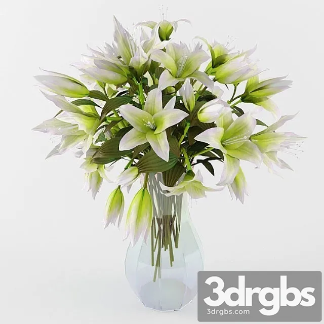 Lilii 6 3D Model Download